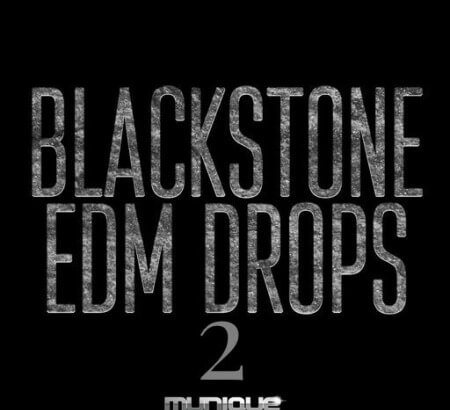 Munique Music Blackstone Edm Drops 2 WAV